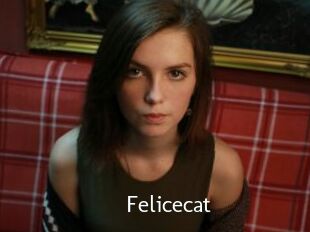 Felicecat