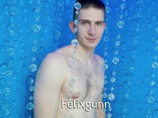 Felixgunn