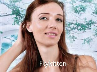 Flykitten