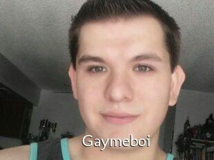 Gaymeboi