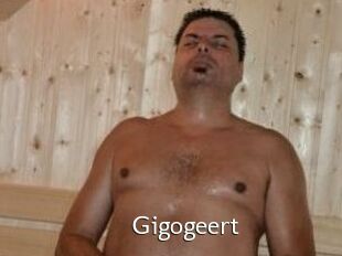 Gigogeert