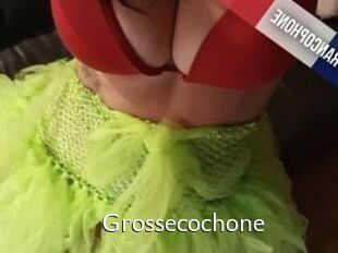 Grossecochone