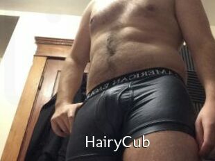 HairyCub