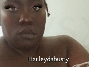 Harleydabusty