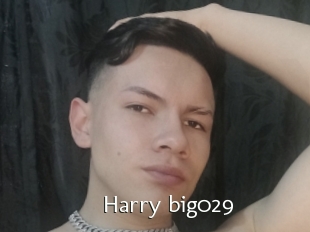 Harry_big029