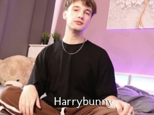 Harrybunny