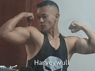 Harveywull