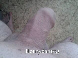 Hornydan1733