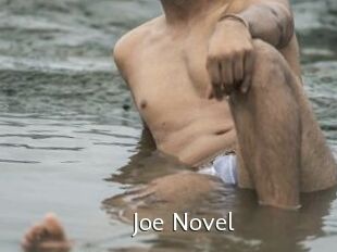 Joe_Novel