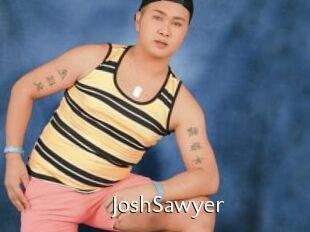 JoshSawyer