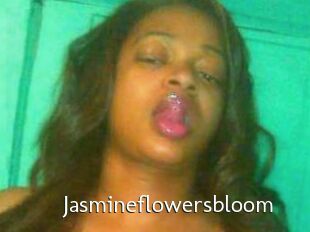 Jasmineflowersbloom