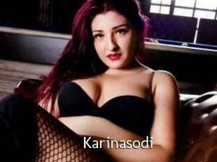 Karinasodi