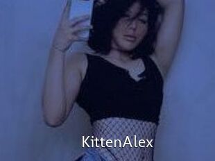 KittenAlex