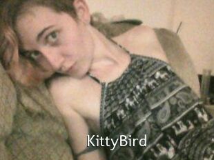 KittyBird