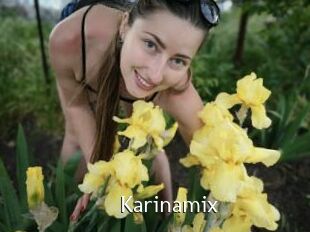 Karinamix