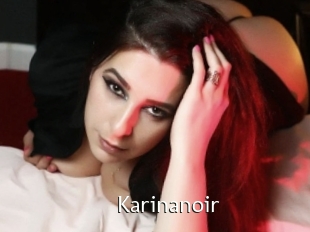 Karinanoir