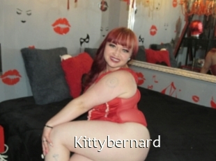 Kittybernard