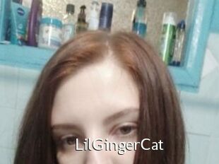 LilGingerCat