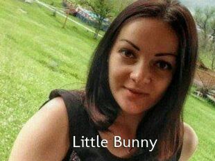 Little_Bunny_