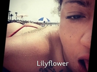 Lilyflower