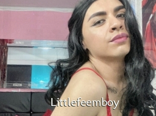 Littlefeemboy