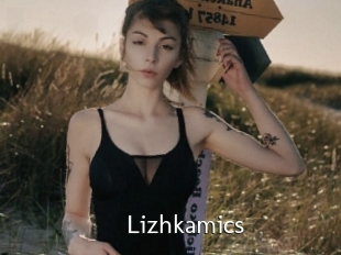 Lizhkamics