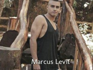 Marcus_Levit