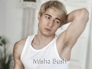 Misha_Bush