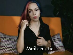 Meiloecutie