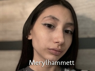 Merylhammett