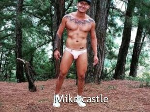 Mike_castle