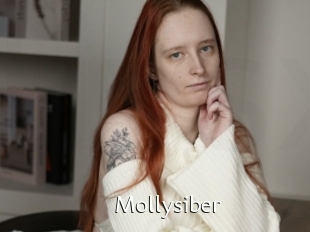 Mollysiber