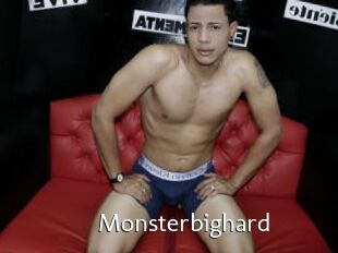 Monsterbighard