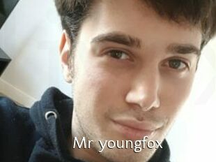 Mr_youngfox