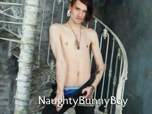 NaughtyBunnyBoy