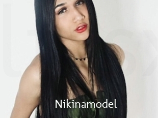 Nikinamodel