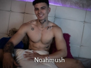 Noahmush