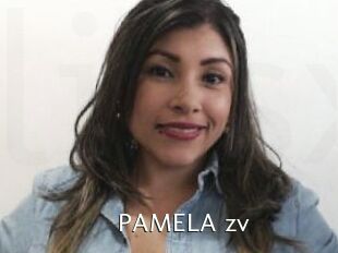 PAMELA_zv