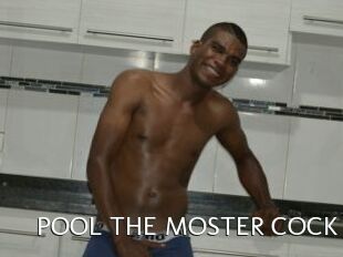 POOL_THE_MOSTER_COCK