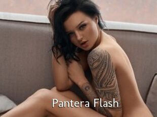 Pantera_Flash