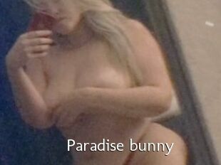 Paradise_bunny