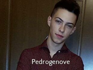 Pedrogenove