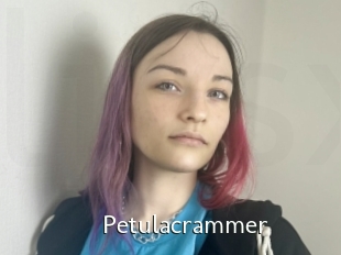 Petulacrammer