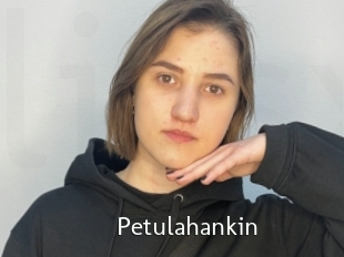 Petulahankin