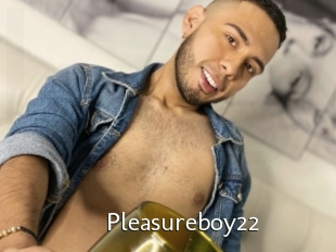 Pleasureboy22