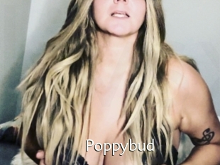Poppybud