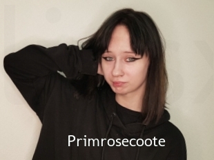 Primrosecoote