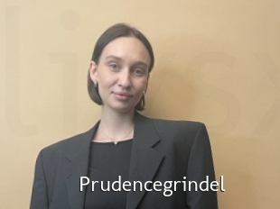 Prudencegrindel