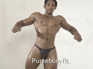 Pumebonyfit