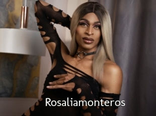 Rosaliamonteros